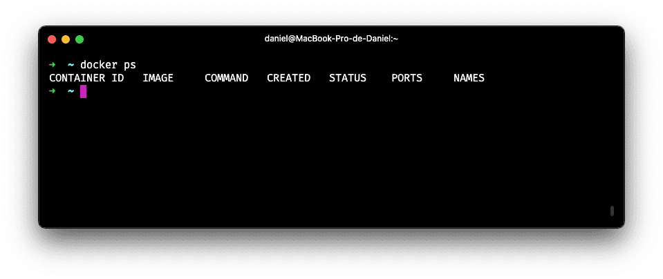 resultado comando docker ps