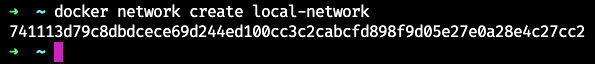 Terminal com o ID da rede local-network recém-criada